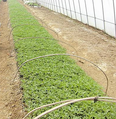 ���z���z